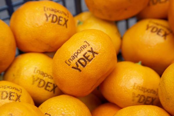 фото №1 - примеры наших работ