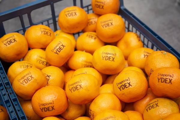 Брендирование мандаринов - примеры наших работ